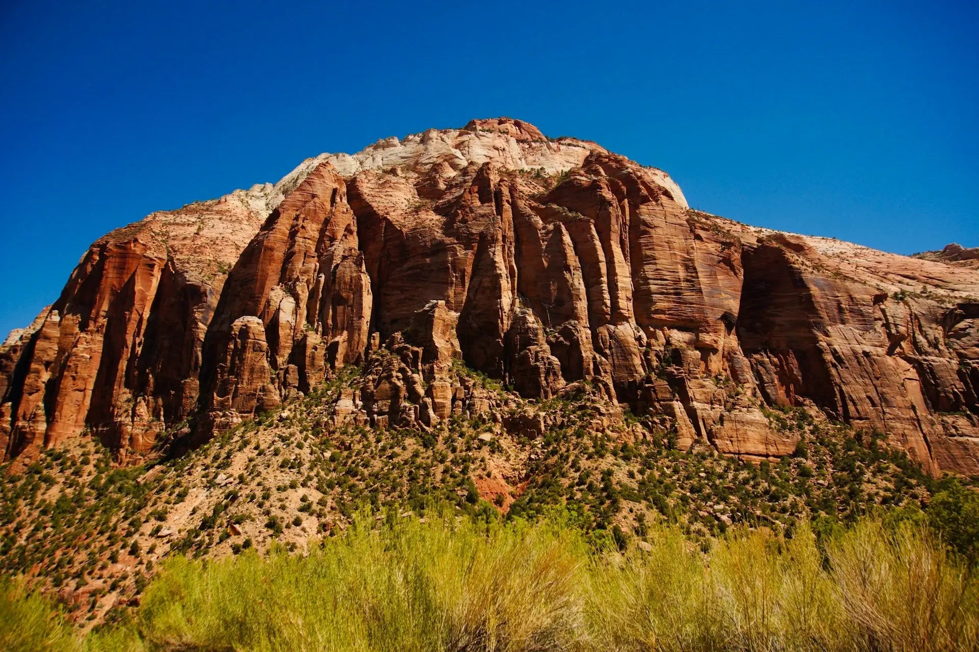 Best Post-Hike Drinks Near Red Rock Canyon