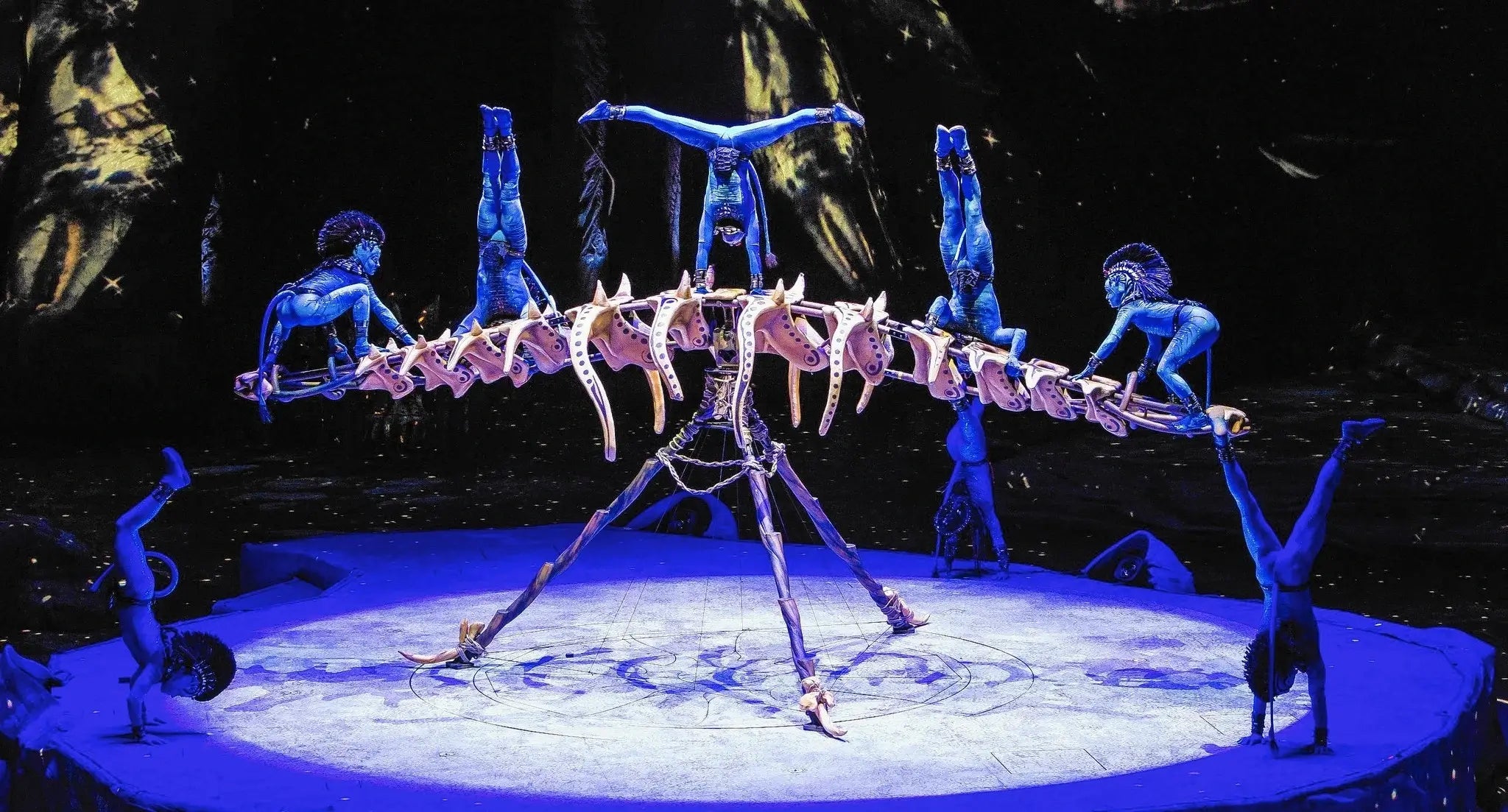 Cirque du Soleil show