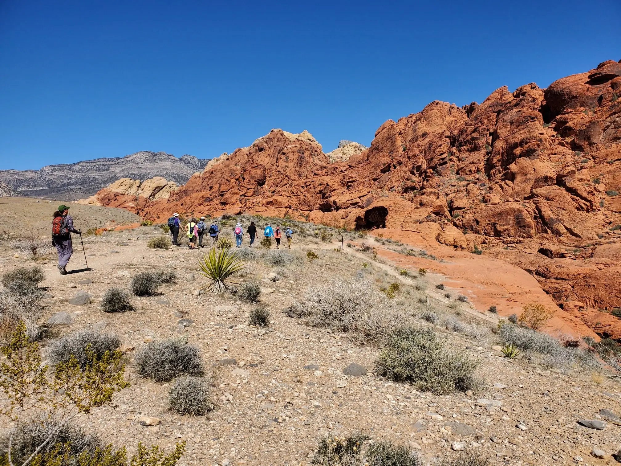 Red Rock Group Trip