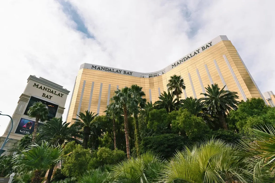 A Parent’s Guide to Family Fun Near Mandalay Bay 👨
