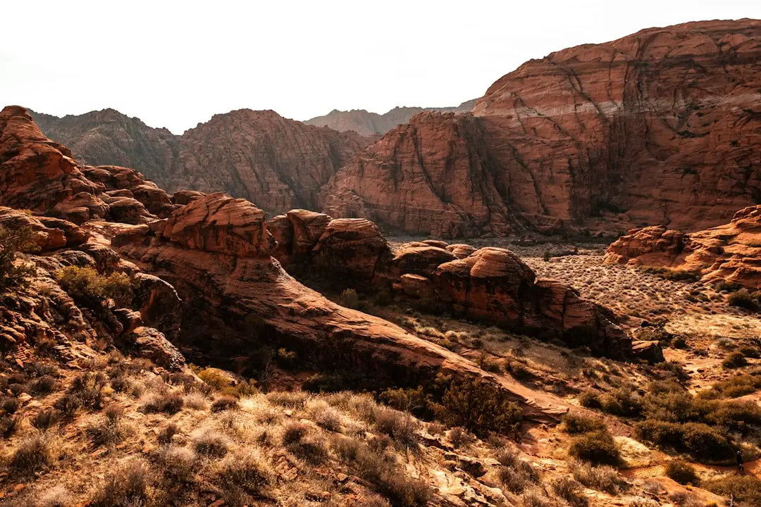 Red Rock Canyon for Beginners: Easy Trails, Scenic Spots & Nearby Relaxation 🏜️