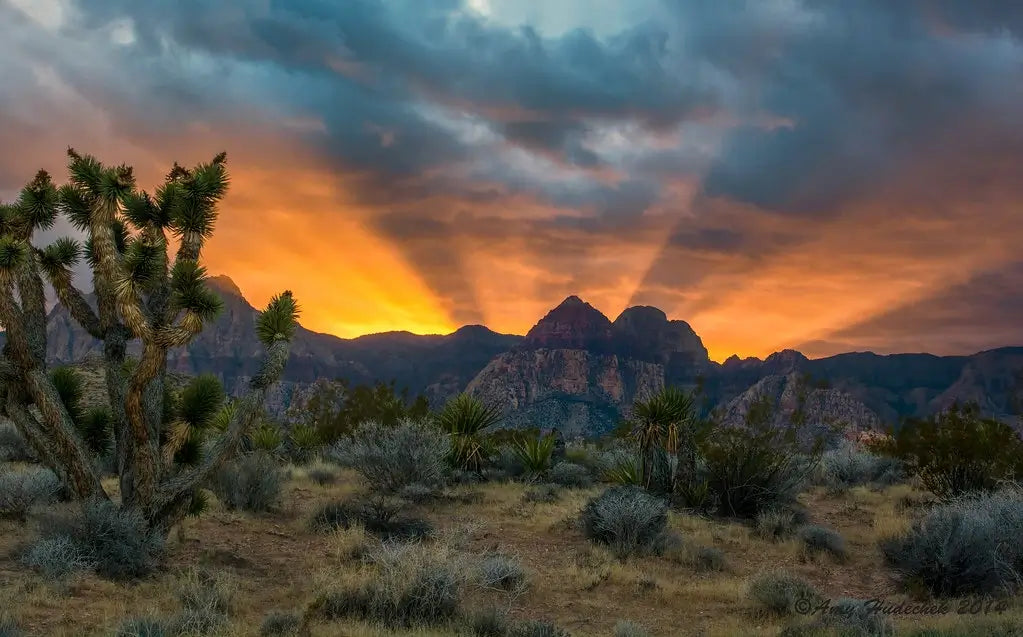 Red Rock Sunset