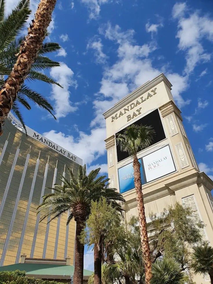 What to Do After Mandalay Bay Beach: Keep the Good Times Rolling in Vegas ☀️