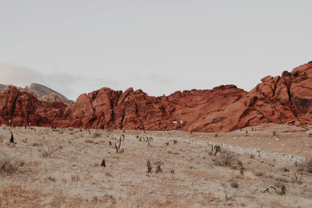 Where Locals Go After Red Rock Canyon: Food, Drinks & Entertainment Picks