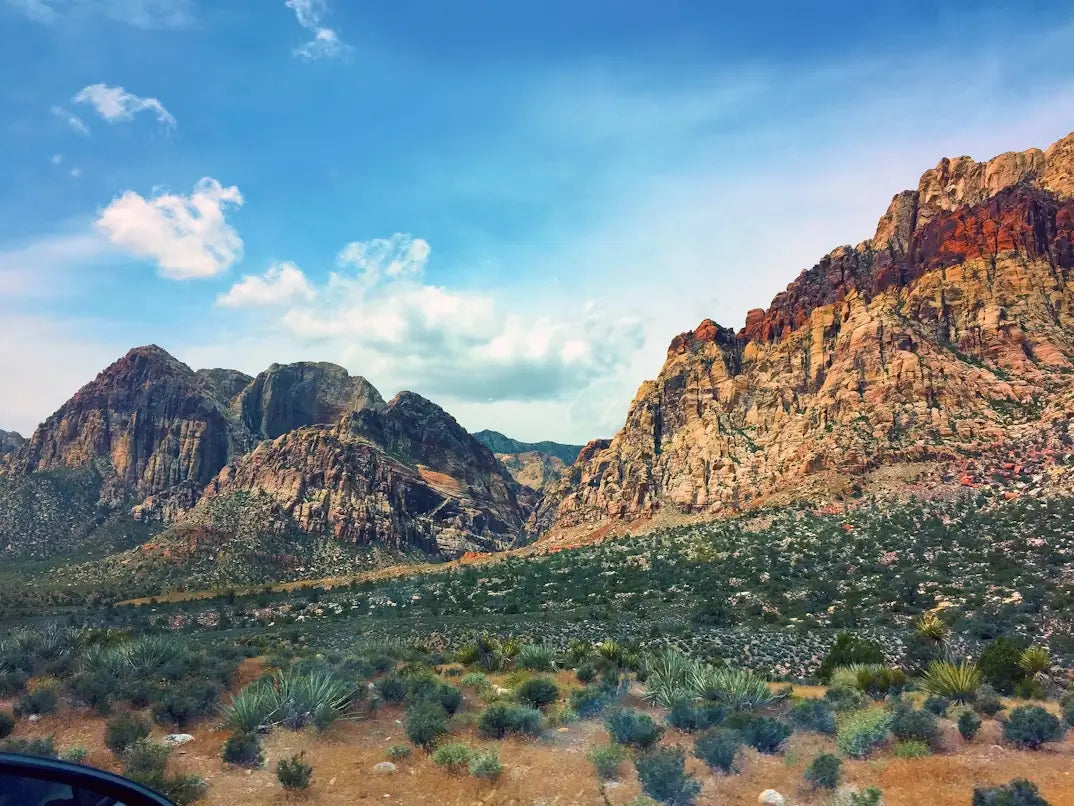 Your Perfect Red Rock Canyon Itinerary: What to Do Before and After Your Hike🏜️